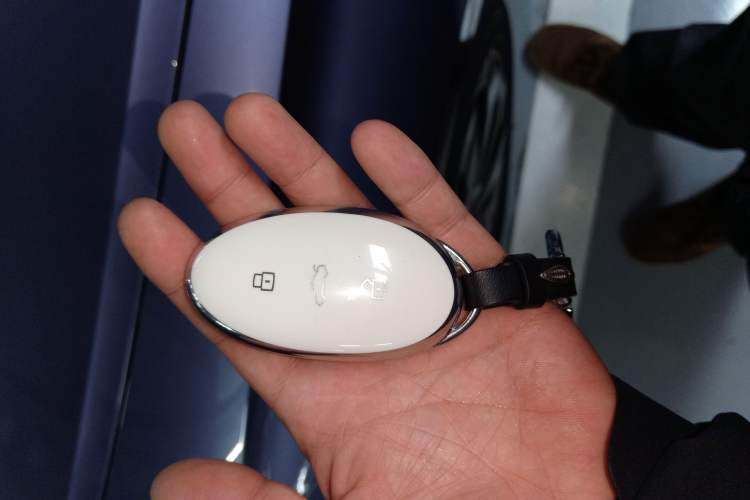 Used Rising F7 2023 Advanced Edition Vehicle Key