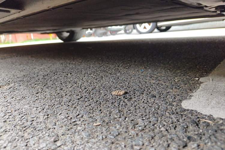 Used Rising F7 2023 Advanced Edition Chassis Front Right