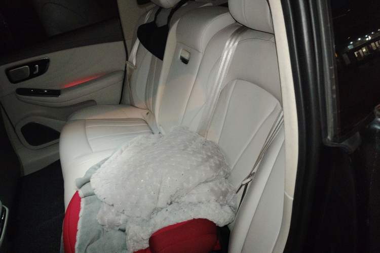 Used Rising F7 2023 Long-Range Edition Interior 4
