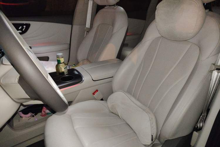 Used Rising F7 2023 Long-Range Edition Left Front Seat