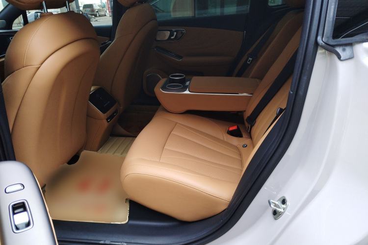 Used Rising F7 2023 Advanced Edition Left Rear Seat