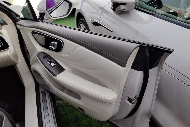 Used Rising F7 2023 Advanced Pro Edition Right Front Door Interior
