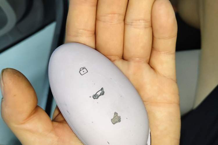 Used Rising F7 2023 Performance Pro Edition Vehicle Key