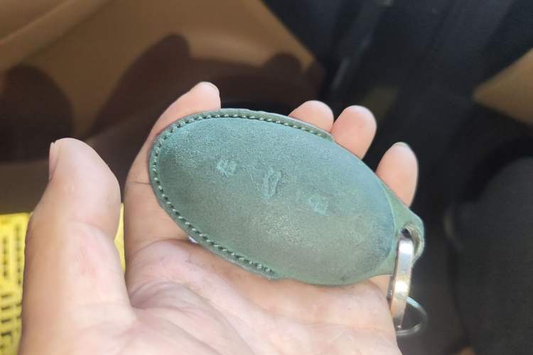 Used Rising F7 2023 Advanced Pro Edition Vehicle Key