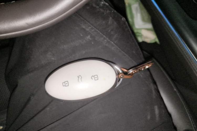 Used Rising F7 2023 Long-Range Pro Edition Vehicle Key