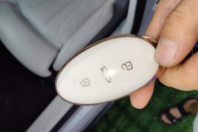 Used Rising F7 2023 Advanced Pro Edition Vehicle Key