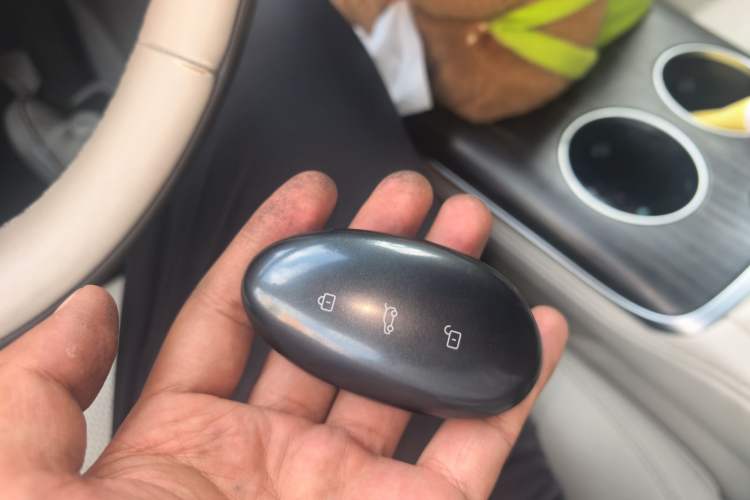 Used Rising F7 2023 Advanced Edition Vehicle Key
