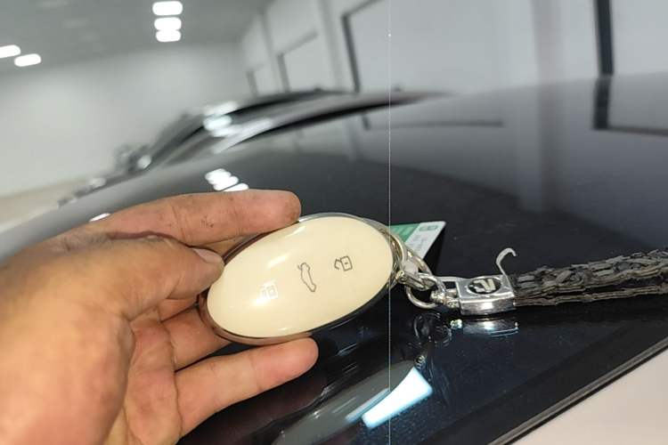 Used Rising F7 2023 Advanced Edition Vehicle Key