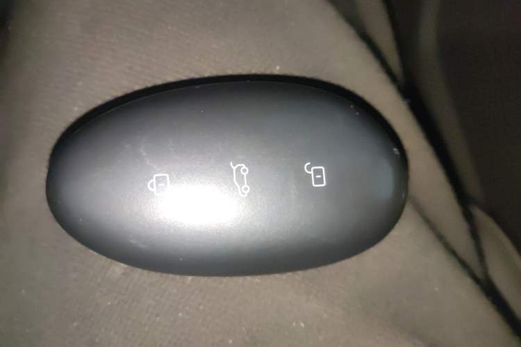 Used Rising F7 2023 Advanced Edition Vehicle Key