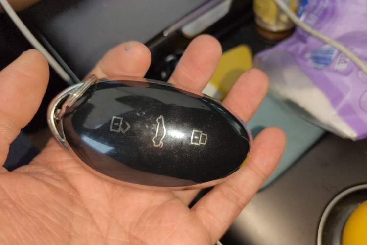 Used Rising F7 2023 Revised Edition Advanced Version Vehicle Key