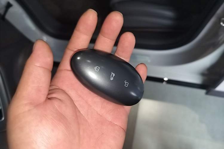 Used Rising F7 2023 Long-Range Pro Edition Vehicle Key