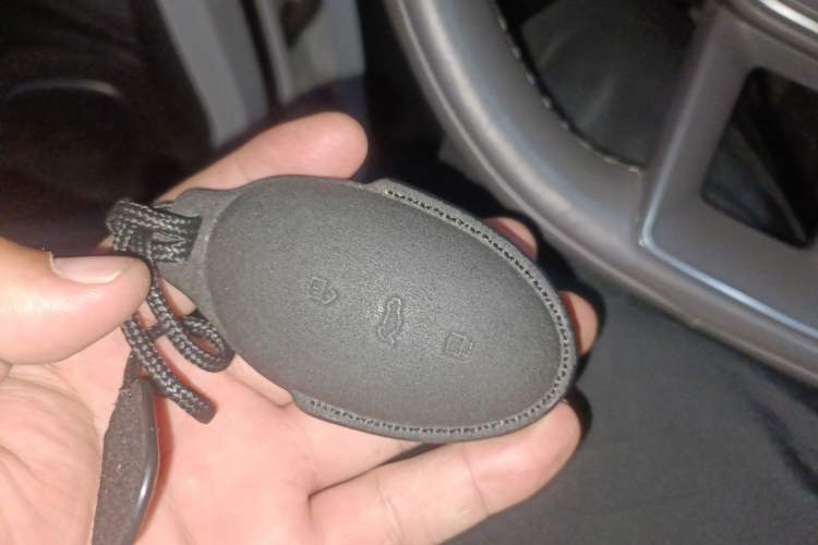 Used Rising F7 2023 Advanced Pro Edition Interior 1