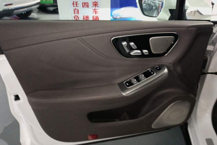 Used Rising F7 2023 Performance Pro Edition Left Front Door Interior