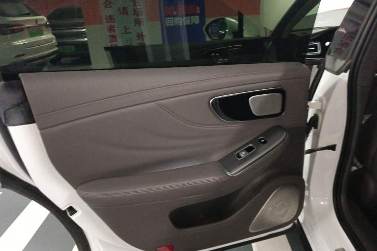 Used Rising F7 2023 Performance Pro Edition Left Rear Door Interior