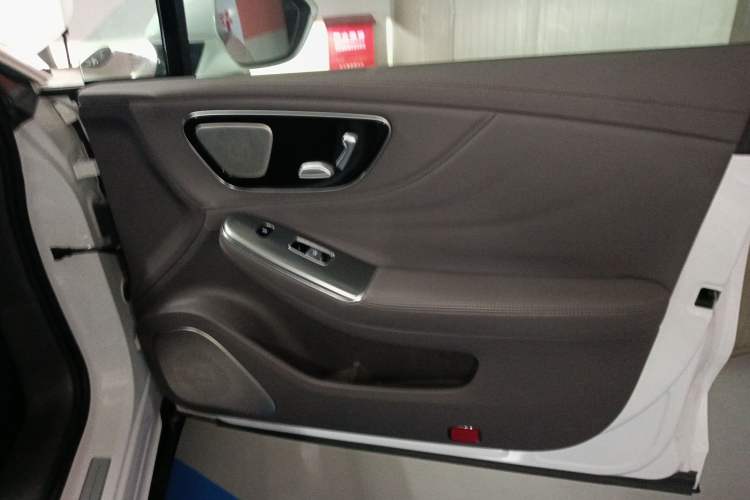 Used Rising F7 2023 Performance Pro Edition Right Front Door Interior