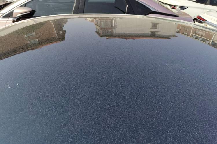 Used Rising F7 2023 Advanced Edition Roof