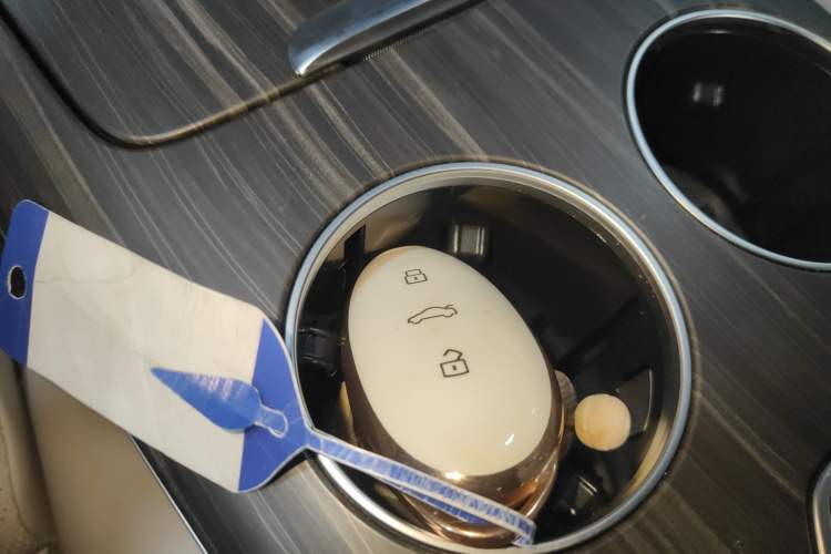 Used Rising F7 2023 Advanced Edition Vehicle Key