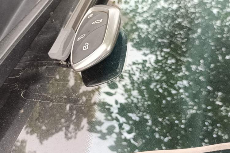 Used Rising MARVEL R 2021 Rear-Drive PRO Edition Vehicle Key