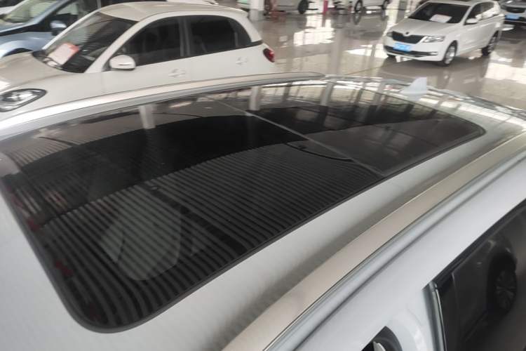 Used Rising MARVEL R 2021 Rear-Drive PRO Edition Roof