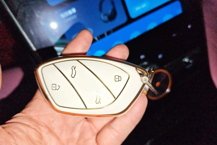 Used Rising MARVEL R 2021 Rear-Drive PRO Edition Vehicle Key