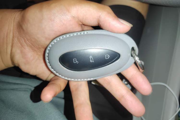 Used Rising R7 2022 Standard Advanced Version Vehicle Key