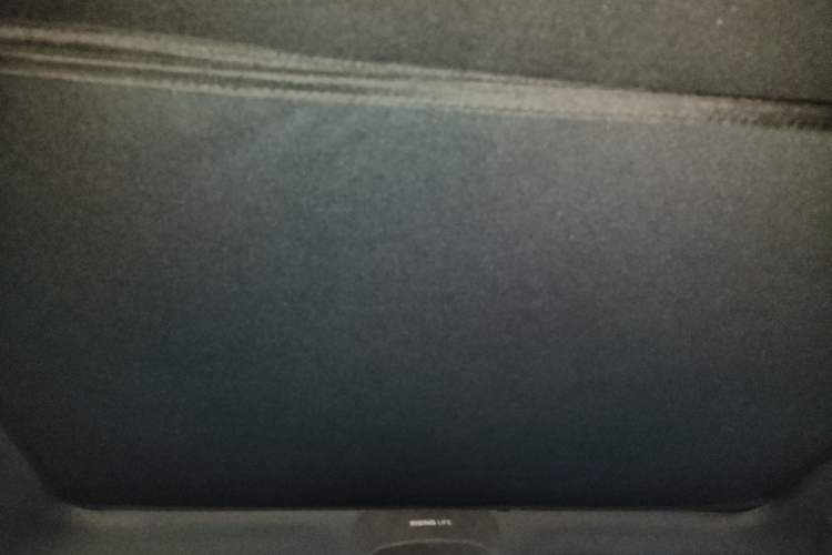 Used Rising R7 2022 Long-Range Advanced Edition Headliner