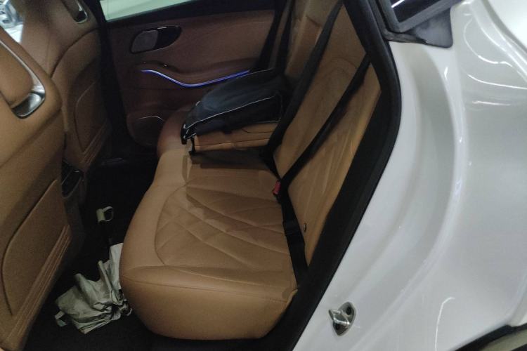 Used Rising R7 2022 Long-Range Advanced Edition Left Rear Seat
