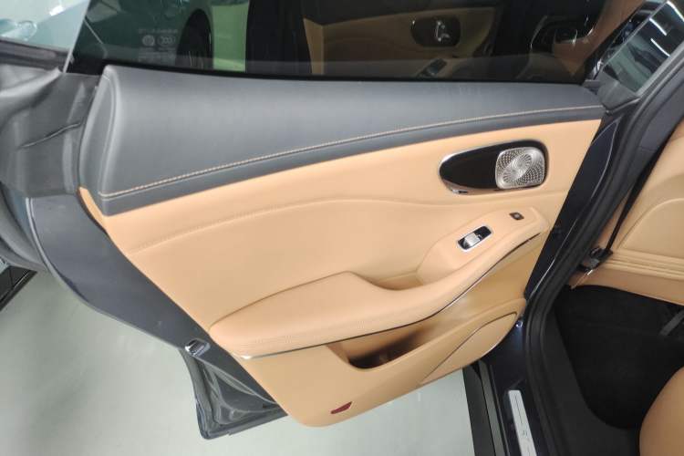 Used Rising R7 2022 Standard Advanced Version Left Rear Door Interior
