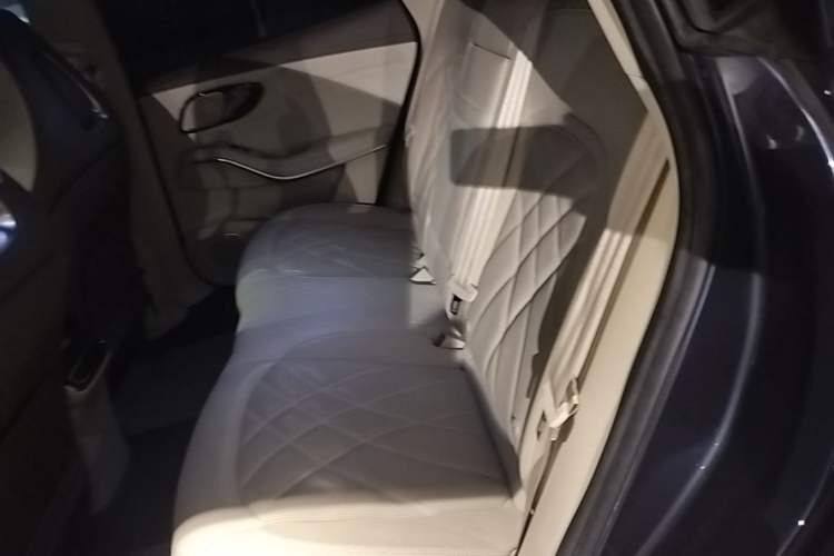 Used Rising R7 2022 Flagship Advanced Edition Left Rear Seat
