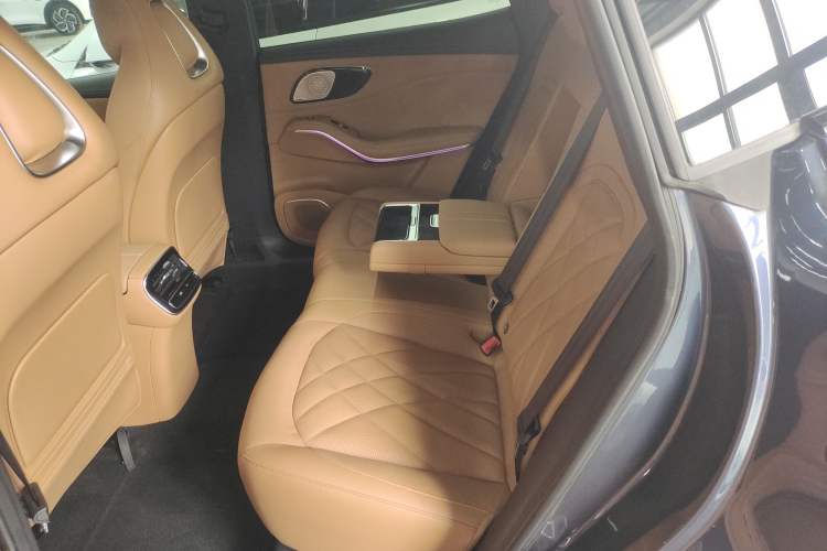 Used Rising R7 2022 Standard Advanced Version Left Rear Seat