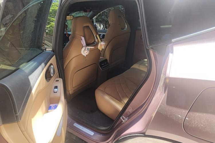 Used Rising R7 2022 High-Performance Advanced Edition Left Rear Seat