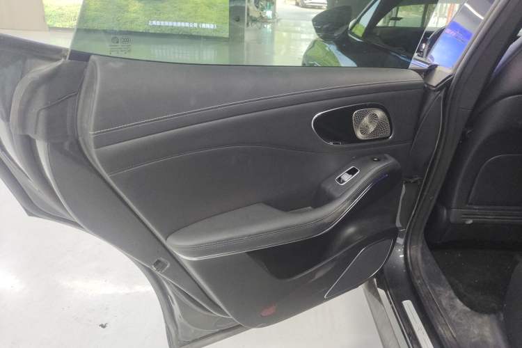 Used Rising R7 2022 Standard Advanced Version Left Rear Door Interior