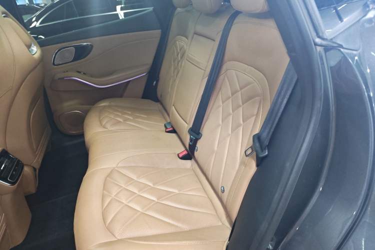 Used Rising R7 2022 Standard Advanced Version Left Rear Seat