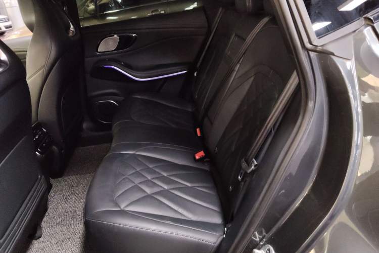 Used Rising R7 2022 Standard Advanced Version Left Rear Seat