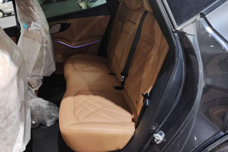 Used Rising R7 2022 Long-Range Advanced Edition Left Rear Seat