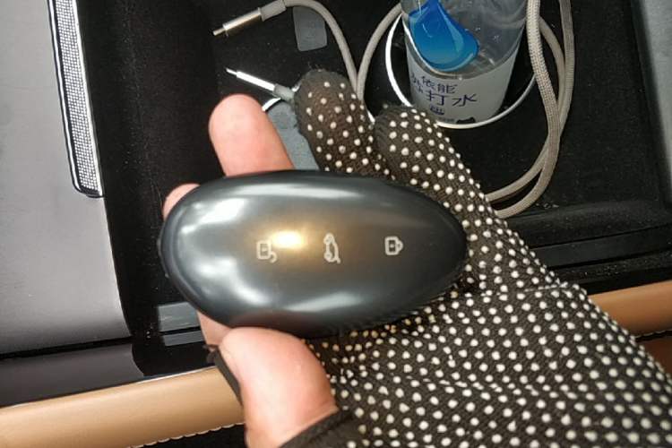 Used Rising R7 2022 Flagship Advanced Edition Vehicle Key