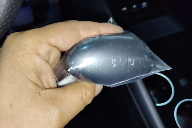 Used Rising R7 2022 Standard Advanced Version Vehicle Key