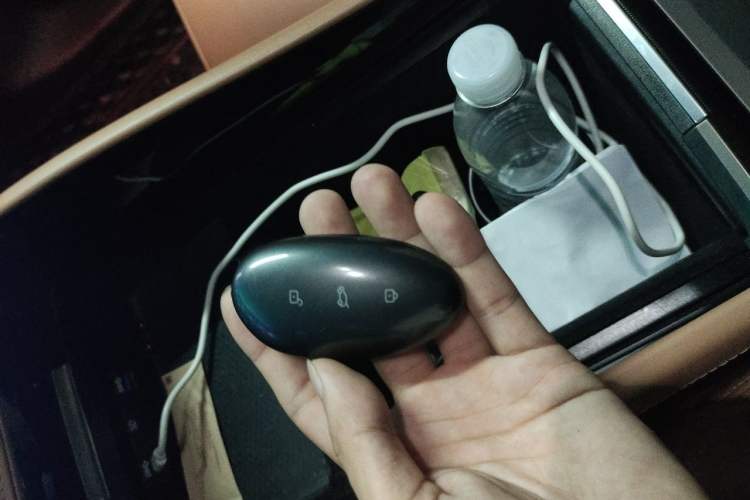 Used Rising R7 2022 Flagship Advanced Edition Vehicle Key
