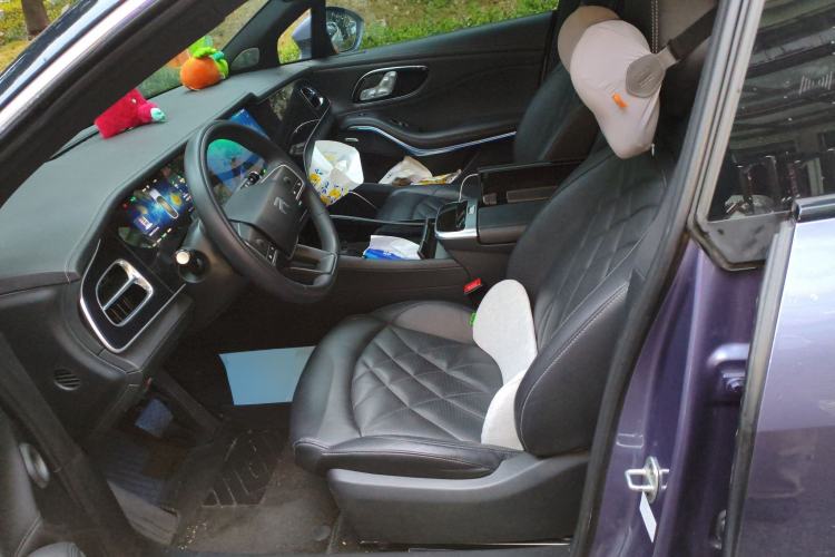 Used Rising R7 2022 Standard Advanced Version Left Front Seat