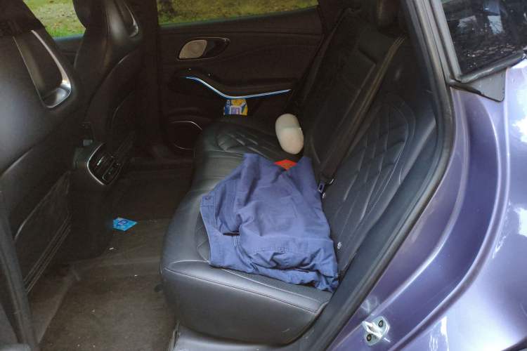 Used Rising R7 2022 Standard Advanced Version Left Rear Seat