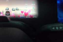Thumbnail 13
