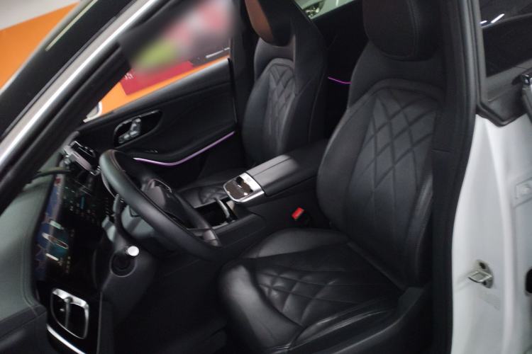 Used Rising R7 2022 High-Performance Advanced Edition Left Front Seat