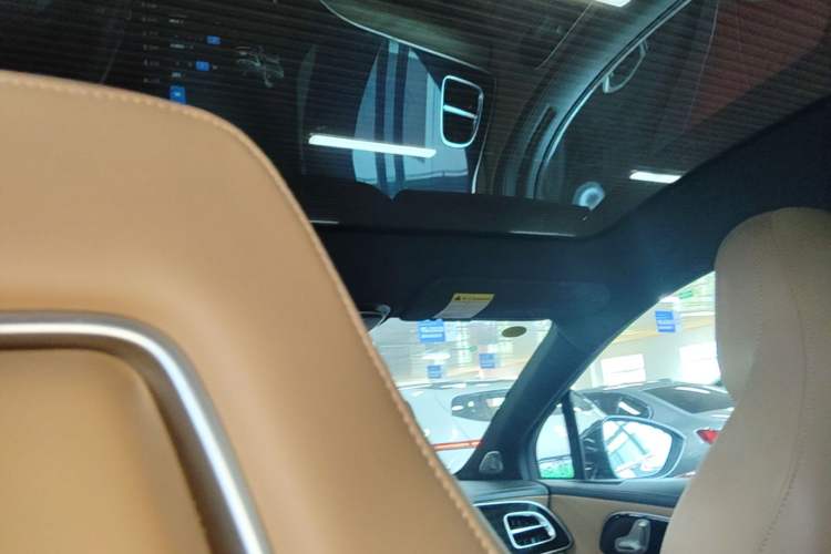 Used Rising R7 2023 Rear-Drive Screen King Edition Headliner