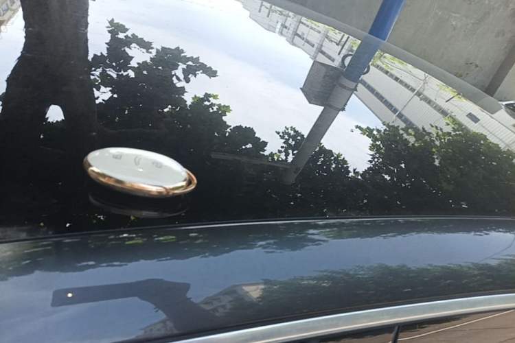 Used Rising R7 2023 Rear-Drive Screen King Pro Edition Roof