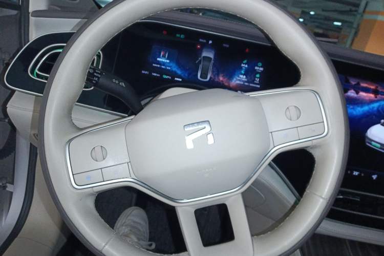 Used Rising R7 2023 Rear-Drive Screen King Edition Steering Wheel