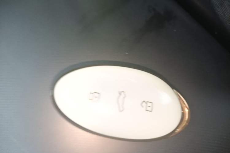 Used Rising R7 2023 Rear-Drive Screen King Pro Edition Vehicle Key
