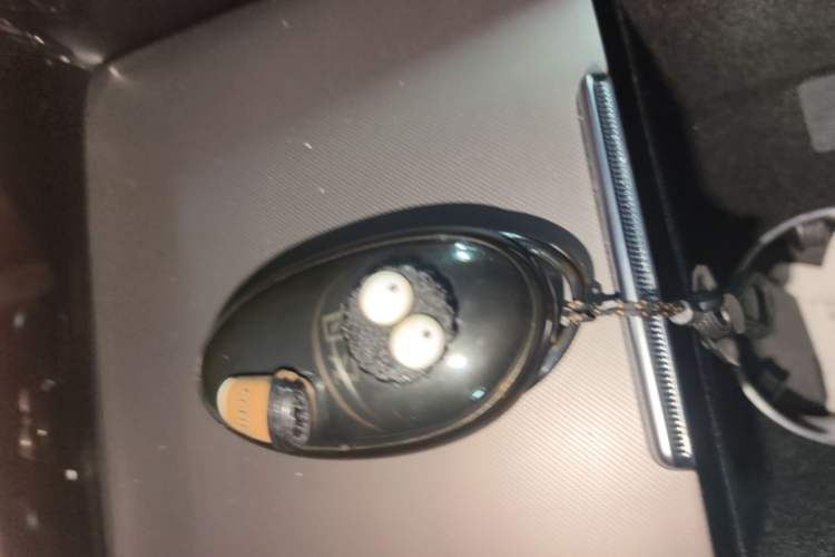 Used Rising R7 2023 Flagship Edition Vehicle Key