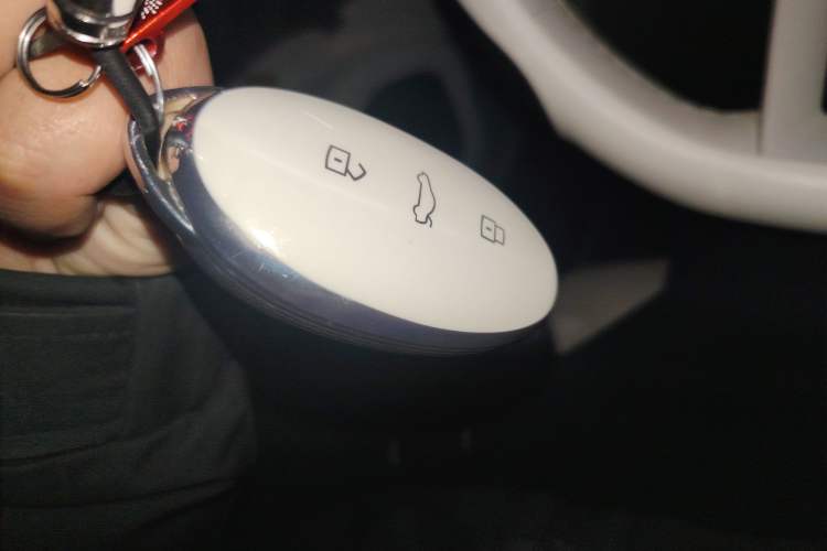 Used Rising R7 2023 Rear-Drive Screen King Edition Vehicle Key