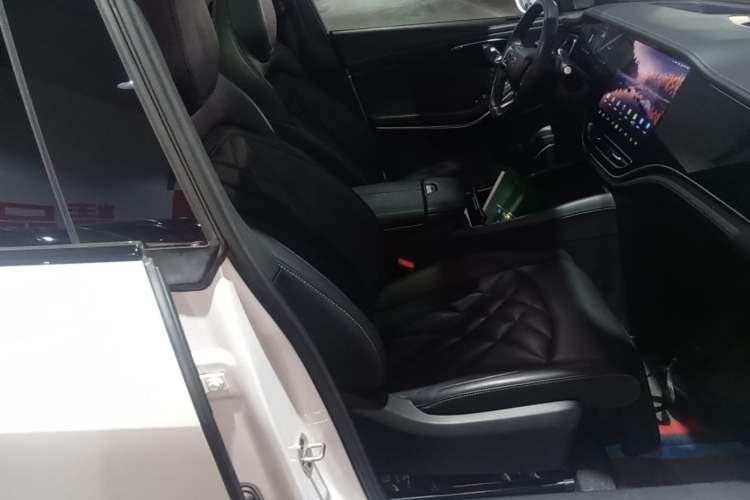 Used Rising R7 2023 Rear-Drive Screen King Pro Edition Right Front Seat