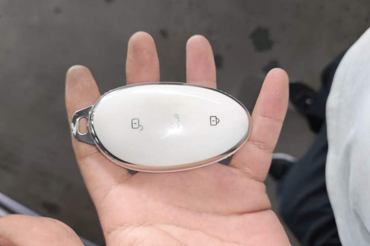 Used Rising R7 2023 Flagship Edition Vehicle Key